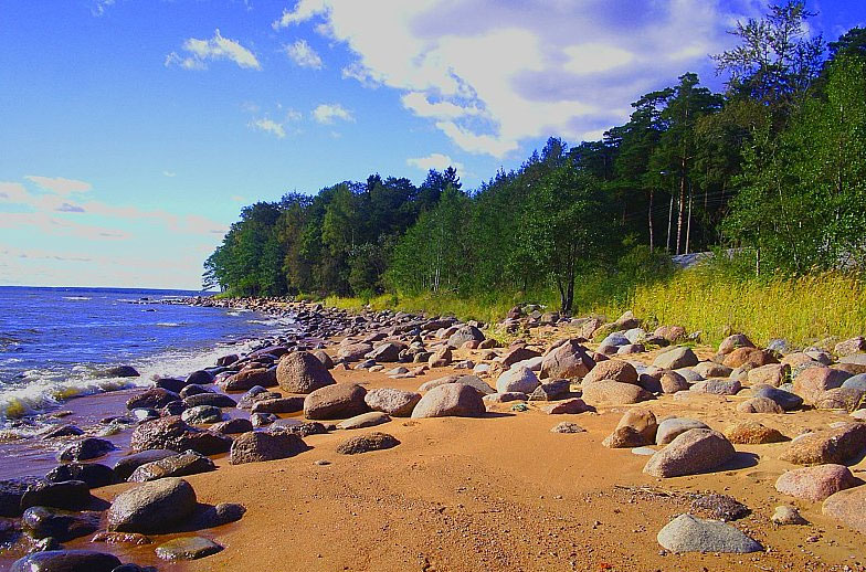 Финский залив фото пляжей